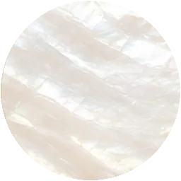 mother of pearl with carved paisley tail